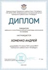 2020-2021 Хоменко Андрей 10л (РО-физика)
